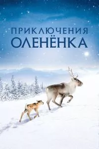 Смотреть онлайн