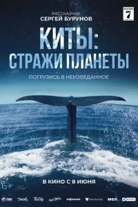 Смотреть онлайн