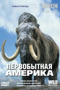 Смотреть онлайн