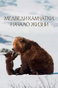 Смотреть онлайн