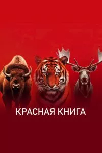 Смотреть онлайн