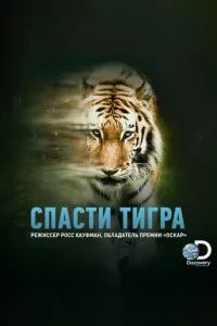 Смотреть онлайн