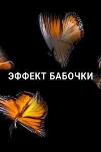Смотреть онлайн