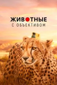 Смотреть онлайн
