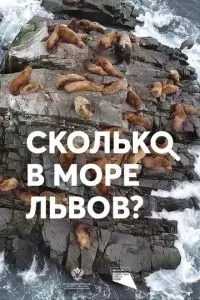Смотреть онлайн