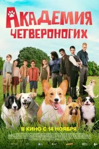 Дрессировщики / Академия четвероногих
