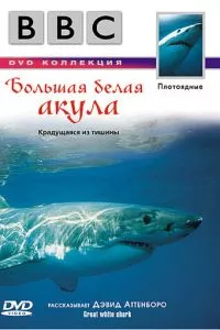 Смотреть онлайн