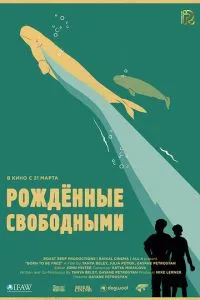 Смотреть онлайн