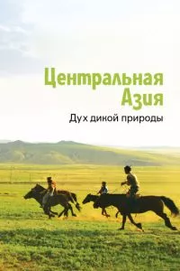 Смотреть онлайн