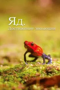 Смотреть онлайн