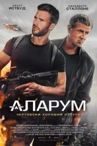Смотреть онлайн