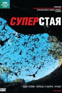 Смотреть онлайн