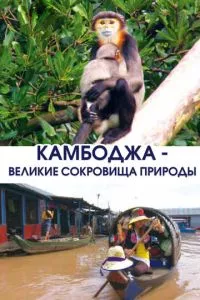 Смотреть онлайн
