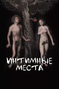 Смотреть онлайн