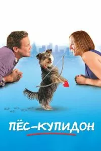 Смотреть онлайн