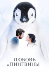 Любовь и пингвины