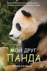 Смотреть онлайн