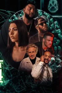Последние 24