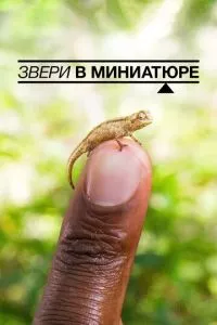 Смотреть онлайн