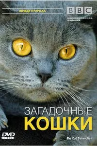 Смотреть онлайн