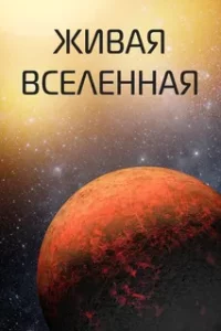 Смотреть онлайн