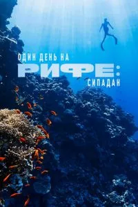 Смотреть онлайн