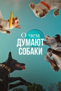 Смотреть онлайн