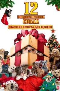 Смотреть онлайн