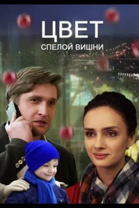 Смотреть онлайн