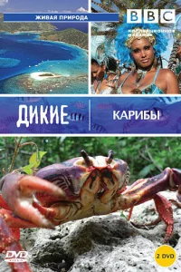 Смотреть онлайн