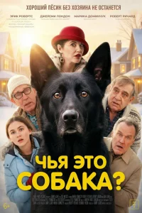 Чья это собака? (2025)