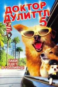 Смотреть онлайн